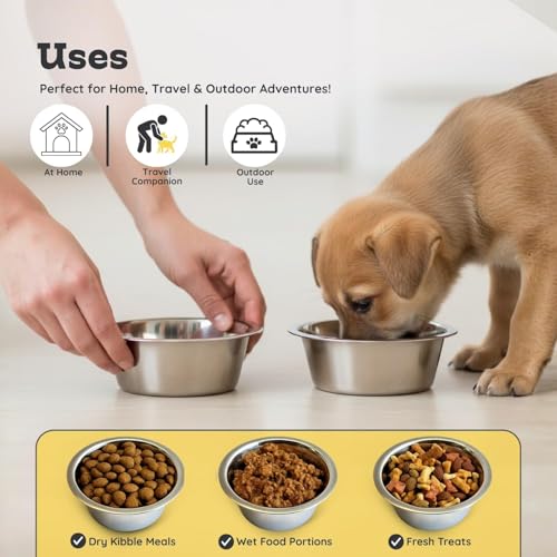 2 Pack Shallow Stainless Steel Cat & Dog Bowls, 1 Cup (8 oz) Each, Heavy Duty Small Pet Only Puppy Kitten & Birds Feeder Replacement Bowl, Rust Resistant Metal Cat Dishes for Food & Water - size: 1 Cup (8 oz)