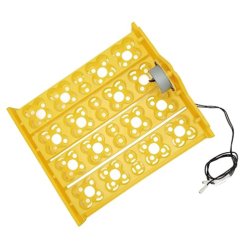 Automatic Egg Turning Tray for Incubator Multifunction Egg Hatcher Tray for 16 Duck Eggs 72 Quail Eggs, for Egg Incubation and Hatching (AC110V) - size: AC110V, style: AC110V