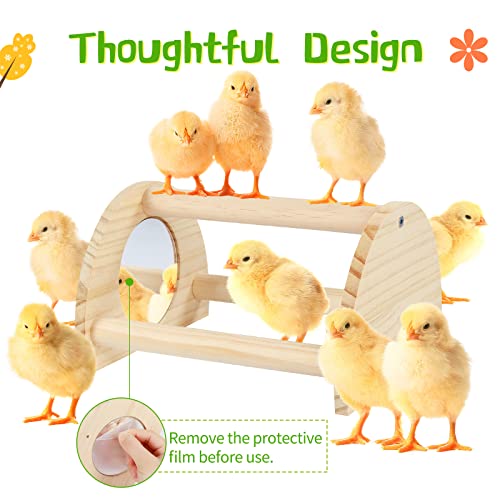 Pine Chicken Perch with Mirror, Strong Chick Jungle Gym Roosting Bar, Chicken Toys for Coop and Brooder, Training Perch Toys for Large Bird, Parrot, Macaw, Hens (Small) - size: Small