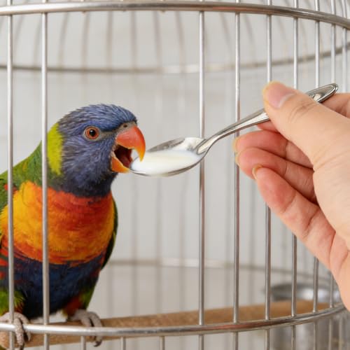 Automatic Bird Feeder with 2 Spoons, No Mess Bird Feeder for Cage, Transparent Bi-rd Cage Accessories for Parakeet Canary Cockatiel Finch(Color:White)
