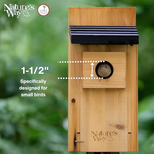 Wild Wings WWCH3 Cedar Blue Bird Box House - size: Bluebird Box House