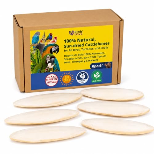 Birds LOVE 5.5-6″ Cuttlebone for Birds – 100% Natural Sun-Dried Calcium & Beak Conditioning Supplement for Parakeets, Budgies, Cockatiels, Finches & Canaries – 6 Pack with Holder – Made in Vietnam - size: 1 Count (Pack of 1)