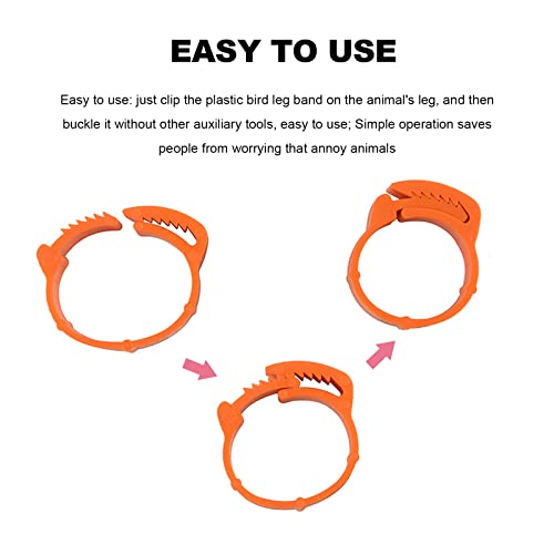 100 Pcs Chicken Leg Bands Adjustable Chicken Marker 6 Slots 20mm Chicken Leg Marker Rings Colorful Poultry Leg Rings Numbered Chicken Leg Rings (Red Rose Orange Yellow Green)