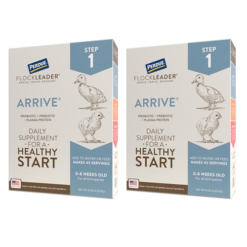Arrive, Daily Probiotic & Prebiotic Water Supplement for Young Chickens 0-8 Weeks Old, 8 oz (Pack of 2) - color: FlockLeader Arrive, size: 8 Ounce (Pack of 2)