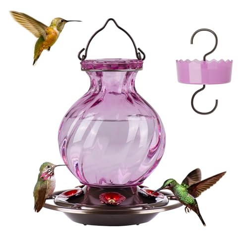 Auslar Glass Hummingbird Feeders for Outdoors Hanging, Purple, 26 Oz | Hummingbird Feeder with Ant Proof Moat, 5 Bee Proof Feeding Ports, 360°Perch, Leak-proof, Outside Garden Backyard Decor - color: Purple