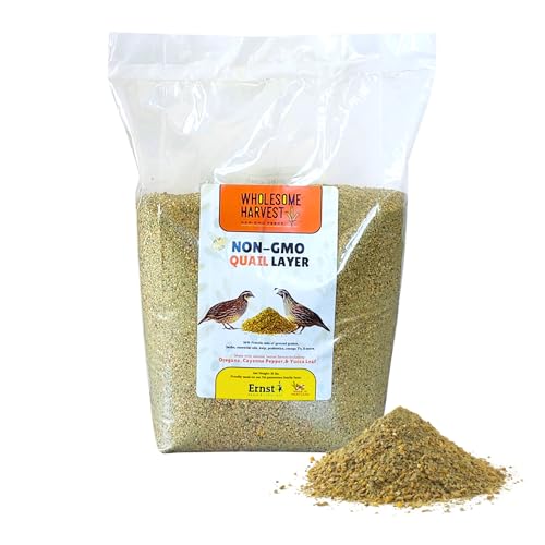 Non-GMO Quail Layer Feed 26% - Premium 10 lb Food for Laying Birds, Button Food - size: 10 Pound (Pack of 1), style: For Laying Birds