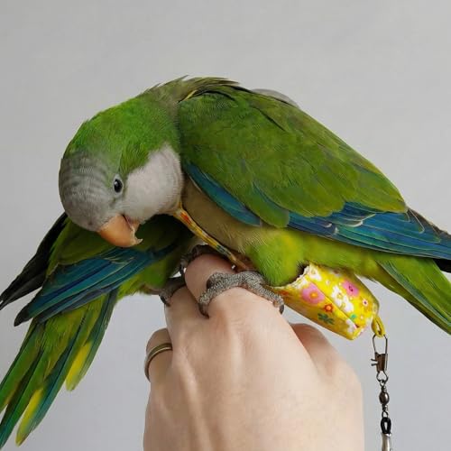 Bird Flight Harness Vest, Snap-Fastener Design Harness Vast, Bird Flying Clothes with Rope and Handle for Parakeets Cockatiels Conures Budgies（Yellow Flower - Vest + Traction M - color: Yellow flower, size: M