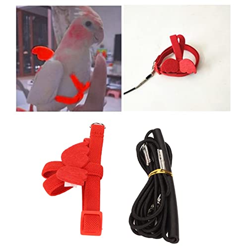 Pet Bird Harness Leash, Lightweight Bird Flying Harness Anti Bite Bird Harness Leash for Parrots Pigeons Lovebird Red - size: M