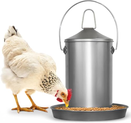 Plexon Automatic Chicken Feeder 2.9KG/6.6lbs – Heavy-Duty 304 Stainless Steel Poultry Feeder, Rust-Proof, Top-Fill Design, Easy to Clean, Weather-Resistant