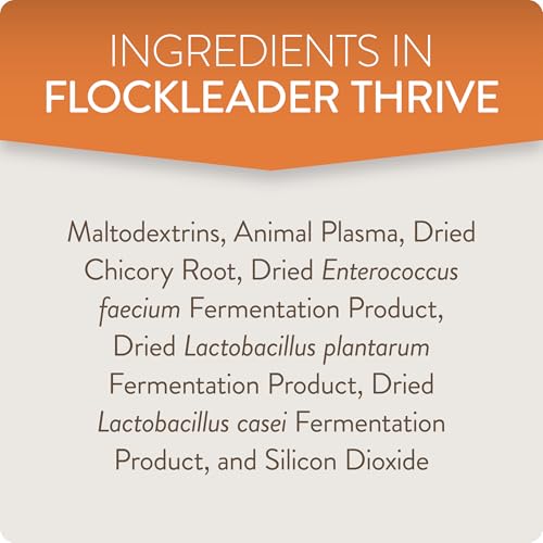 Thrive, Daily Probiotic & Prebiotic Water Supplement for Chickens 8+ Weeks Old, 8 oz (Pack of 2) - color: FlockLeader Thrive, size: 8 Ounce (Pack of 2)
