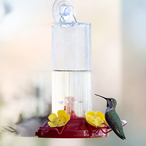 Perky-Pet Window Mount Hummingbird Feeder, 8 oz Nectar Capacity | 3 Bee Guard Ports, Suction Cup & Removable Perches, Plastic Shatter-Resistant Bottle for Outdoor Backyard Bird Watching, 217 - size: 1 Pack