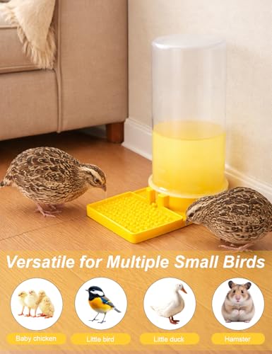 Ultra Leak-Proof Quail Chick Water Feeder – Premium Large Capacity, Non-Toxic & Durable, Ideal Button Quails Waterer, No-Spill Quail Coop & Poultry Supplies for Easy Hydration