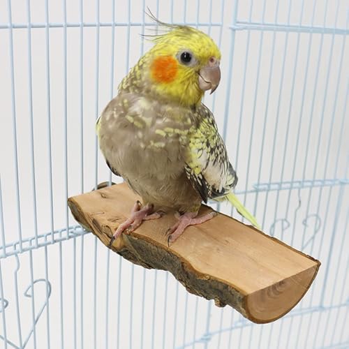 Hamiledyi Wood Bird Perch 4PCS Natural Wooden Stand Platform Parrot Cage Accessories for Budgie Conure Parrot Parakeet Cockatiel Lovebird - size: 3.5x2+5.9x2in