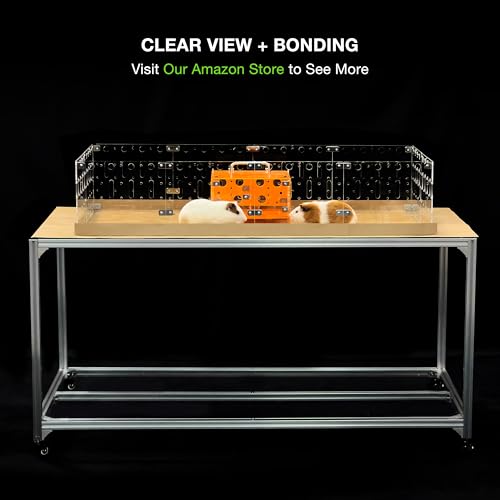 GuineaLoft™ Model-A Acrylic Guinea Pig Cage - Large 4x2ft Expandable C&C | Also Works for Small Roaming Animals Like Rabbits, Button Quails, and Hedgehogs – Visit the GuineaLoft Store - color: Model-A