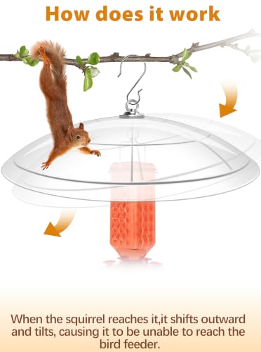 16-Inch Widened Bird Feeder Cover,Hummingbird Feeder Rain Guard,Squirrel Baffle for Bird Feeders,Squirrel-Proof for Wide Outside Tree Trunk or Eave,Gift for Wumen Translucent,2 Pack - color: Clear, size: 16''/2P