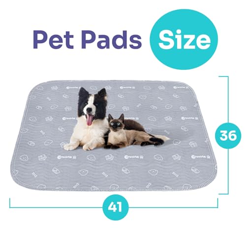 Dog Washable Pee Pads, Reusable Puppy Pads, 2 Pack Large 36"x41" | Reusable Dog Training Pads, Puppy Non-Slip Waterproof Mat, Super Absorbent, Waterproof - size: 36x41 Inch (Pack of 2）