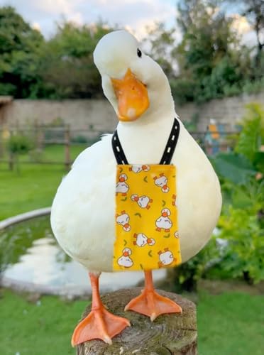 Chicken Diapers for Hens, Roosters, Diapers for Ducks, Ducklings, Reusable Pet Diaper with Bow Ties Waterproof Poultry Nappies for Geese Pet Ducks-White Duck,S - size: S