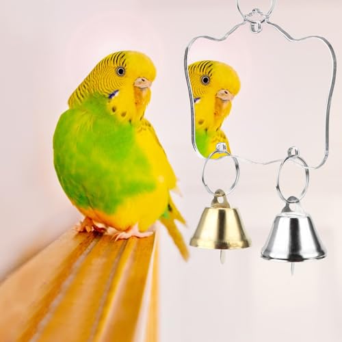 Hypeety Bird Mirror Toy with Bells Cage Hanging Mirror for Parakeets | Clear acrylic mirror with 2 bells, with protective film, easy to hang, fun swing toy, for parakeets/cockatiels/finches/conure