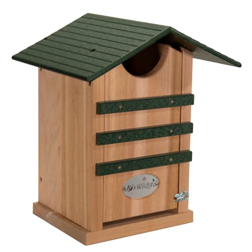 Screech Owl House Cedar Nesting Box with Poly Lumber Roof, Saw-Whet Owl Box for Outside, Drainage Ventilation, Easy Cleanout, Made in USA, Green - color: Green