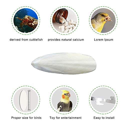 Natural Cuttlebone for Birds Parakeets Canaries Cockatiels Small Conures Mynahs Toucans African Greys All Parrots Snails Totoise, with Holder for Bird Cage (4-5 inch,2PCS) - size: 4-5 Inch (Pack of 2)