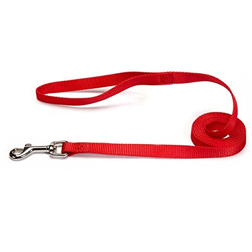 Zack & Zoey Basic Nylon Dog Leash, 6-Feet x 5/8-Inch Lead, Tomato Red - color: Tomato Red, size: 6-Feet x 5/8-Inch Lead