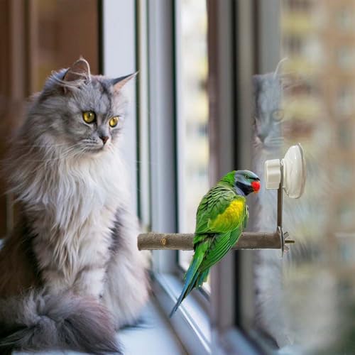 8 Pack Suction Cup Accessory Sets for Bird Perches Bird Stand Sticks Stand Toy Wood Platform for Parrot Parakeet Cockatiel Budgie Suction Cup for Window Bath Shower Car Travel Wall Outdoor Indoor