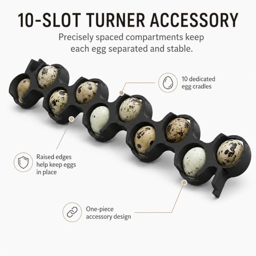SplashNColor Jumbo Quail Egg Tray Compatible with Maticoopx 20 Egg Incubator - Coturnix Quail Egg Rack - Compatible with Small Egg Incubators - Durable Egg Turner Accessory - 10 Slots - White (1 Pack)