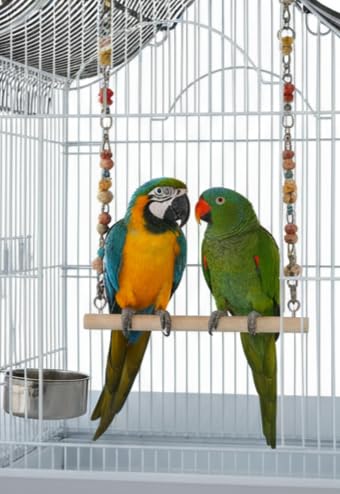 58 Inch Vintage Scrolled Bird Cage - Heavy Duty Wrought Iron (25Lbs) with Non-Toxic Coating - Elegant Victorian Style for Cockatiels, Parakeets, Finches & Lovebirds