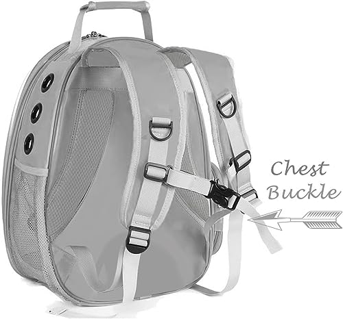 Bubble Cat Carrier Backpack, Transparent Pet Carrier Backpack for Small Puppy and Bunny, Space Capsule Bubble Cat Backpack Carrier, Airline Approved - color: Grey