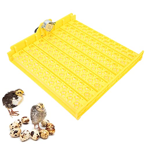 Ruining Fully Automatic Incubator Tray, Egg Incubation Tray Provides a Good Environment for Incubation 154 Egg Incubator Tray for Chicken 110V