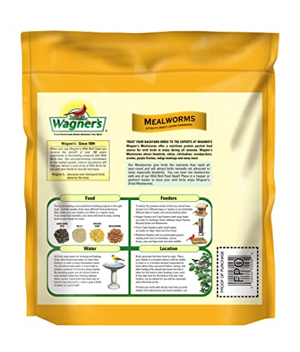 Wagner's 58005 Mealworms Wild Bird Food, 18-Ounce Bag (Pack of 2) - size: 18 Ounce (Pack of 2)