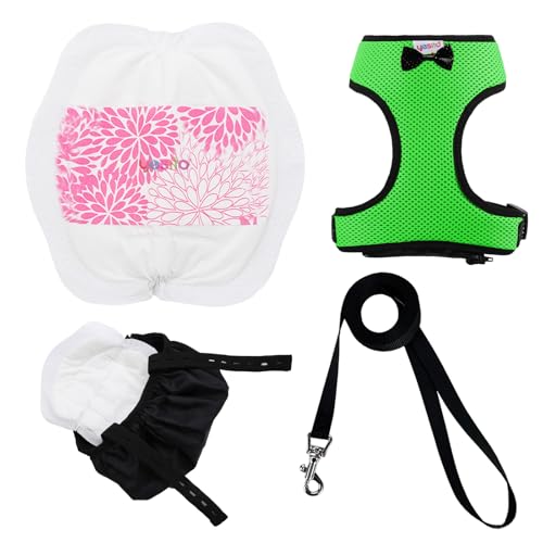 Adjustable Chicken Harness Diaper (5.4ft Leash) – Breathable & Washable Secure Training for Hens, Ducks & Chicks | Outdoor Walking & Discipline Solution - color: Green, size: Large