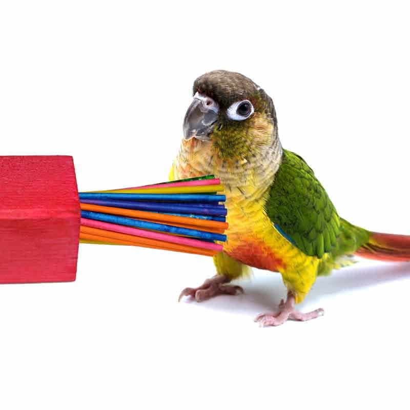 Super Bird Creations SB300 Mini Paper Party Bird Toy, Medium Bird Size, 4.5" x 2"