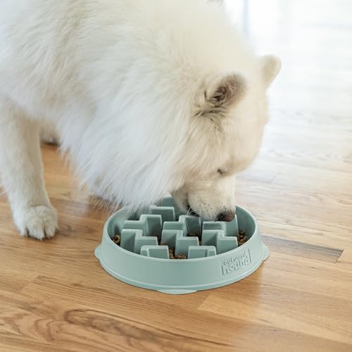 Outward Hound Fun Feeder Slo Bowl – Large 4‑Cup Capacity, Slow Feeding, Medium to Large Dogs, Non‑Slip, Sage, Notch Pattern - color: Sage, size: Large