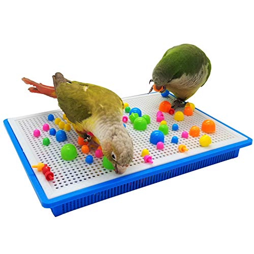QBLEEV Parrot Puzzle Toys - Bird Intelligence Training, Parakeet & Conure Cage Accessories, Cockatiel Foraging & Chewing Toys - size: Large