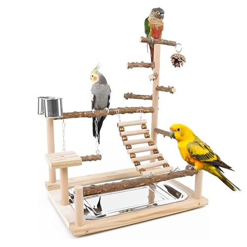 Bird Playground Parrot Playstand, Parrot Stand,Bird Wood Tall Standing Block,Game Table with Feeder… (G-500) - color: G-600
