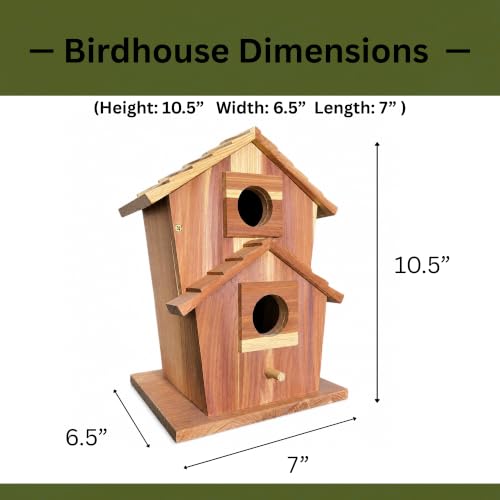 Cedar Bird House for Outside, Wooden Birdhouse for Outdoors, Bluebird House, Hanging Birdhouse with Predator Guard, Large Clean Out Door, All Natural Linseed Oil Finish
