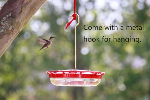 Hummingbird Feeder Fence/Rail Mount or Hanging for Deck/Porch/Balcony 14oz Nectar Feeding Bowl with 5 Ports & 3" Railing Clamp and Metal Hook