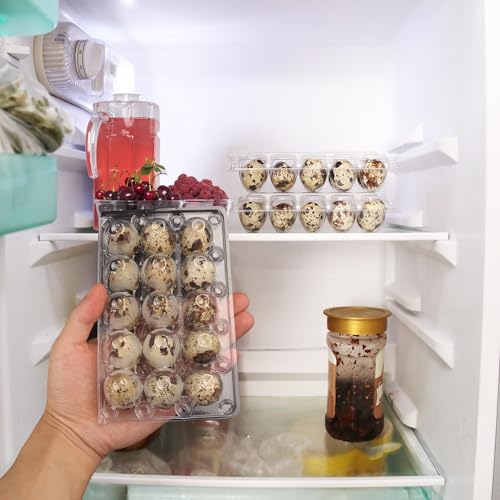 200 Pack Quail Egg Cartons, Clear Plastic Quail Egg Trays, Holds up to 15 Quail Eggs Securely - Your Ultimate Small Eggs Carton Holders for Bulk Storage and Display - size: 15 Grids