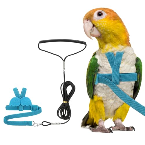 Bird Harness Leash, Adjustable Pet Parrot Bird Harness and Leash Lightweight Anti-Bite Flight Training Rope with Cute Wing, (Blue, XS), Intended for Parrots/Pigeons/Budgies - color: Blue, size: Extra Small