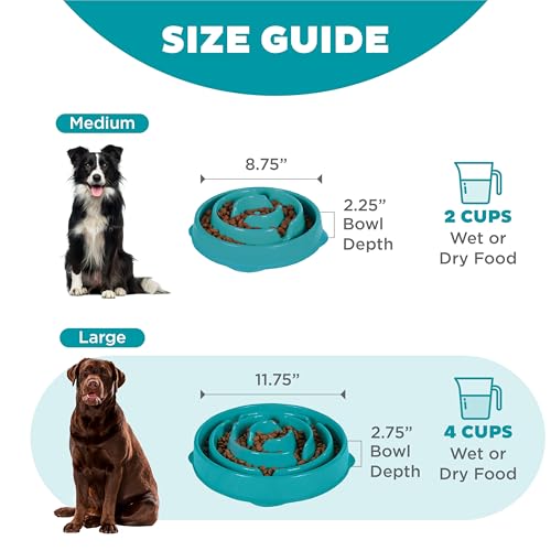 Outward Hound Fun Feeder Slo Bowl – Large 4‑Cup Capacity, Slow Feeding, Medium to Large Dogs, Non‑Slip, Turquoise, Drop Pattern - color: Turquoise, size: Large