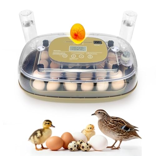 Series III - 24 Egg Automatic Incubator, Full-Stage Adaptive Humidity (Dual-Bottle) & Auto Temp Control, Custom-Interval Auto Turn & Auto Stop, Preset Incubation Days, Adjustable Egg Spacing, Candler - size: 24-Egg Green