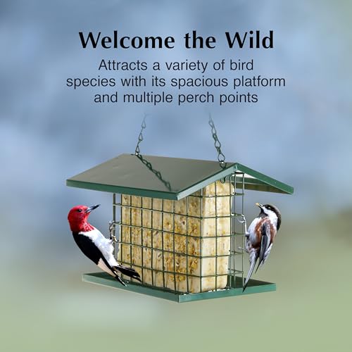 C&S EZ Fill Deluxe Suet and Snak Feeder with Roof & Platform, Suet Feeder for Wild Birds, Holds one 56 Ounce Suet Cake - style: Deluxe Feeder 1-Pack
