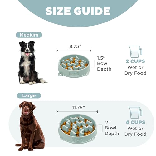 Outward Hound Fun Feeder Slo Bowl – Large 4‑Cup Capacity, Slow Feeding, Medium to Large Dogs, Non‑Slip, Sage, Notch Pattern - color: Sage, size: Large