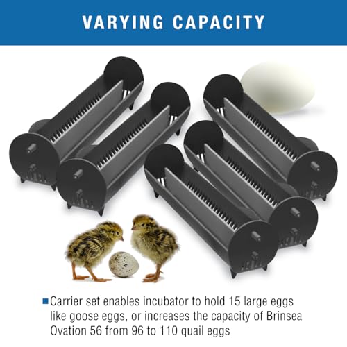 Brinsea Large Egg Carriers for Ovation 56 Incubator, Goose-Size Eggs, 5 Pack | Authentic Brinsea parts for Ovation 56 EX enables incubator to hold 15 goose eggs or 110 quail eggs in 2 rows with dividers - size: Ovation 56 (56 Eggs)