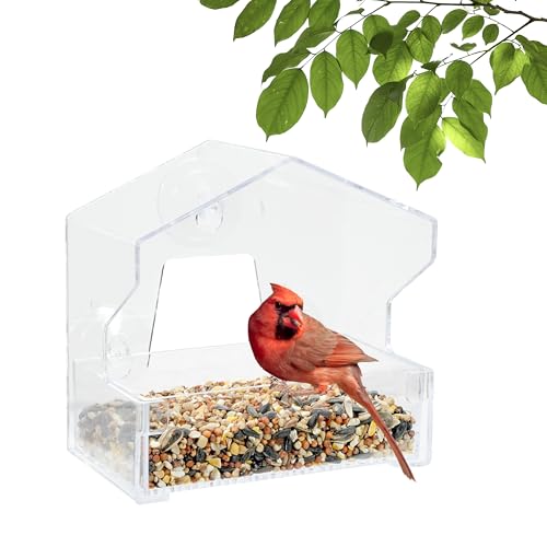 Perky-Pet Clear Outdoor Window Bird Feeder with Strong Suction Cups – 1/2 Lb Seed Capacity - Perky Pet 345 - Entertaining Bird Feeding - Watch Birds Eat Seeds - size: .5 LB Capacity