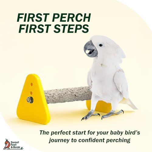 Sweet Feet and Beak Baby Weaning Stand, Medium Training Bird Perch | 3 Adjustable Heights, Training & Play Stand, Easy to Clean, Handmade in USA, For Baby Finches, Canaries & Small Budgies - size: Medium