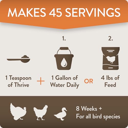 Thrive, Daily Probiotic & Prebiotic Water Supplement for Chickens 8+ Weeks Old, 8 oz (Pack of 2) - color: FlockLeader Thrive, size: 8 Ounce (Pack of 2)