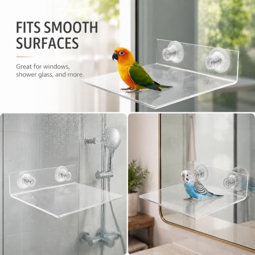 HANABASS Suction Cup Bird Perch Platform for Window and Shower, Acrylic Clear Flat Parrot Stand for Parakeet Cockatiel Macaw, Portable Wall Mounted Accessory