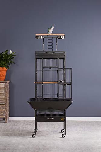 Prevue Pet Products Wrought Iron Select Bird Cage, Metal Cage Home Crate for Birds with Seed Guard, Play Top and Caster Wheels, Black Hammertone Finish | Durable Steel Cage with Rolling Stand and Seed Guards, Ideal for Cockatiels and Medium Birds - color: